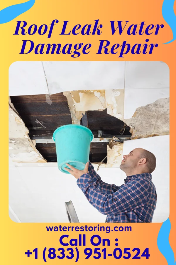 Roof Leak Water Damage Repair in Lyman, NE
