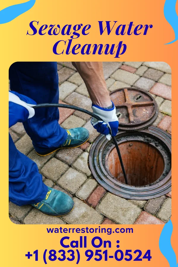 Sewage Water Cleanup in Lyman, NE